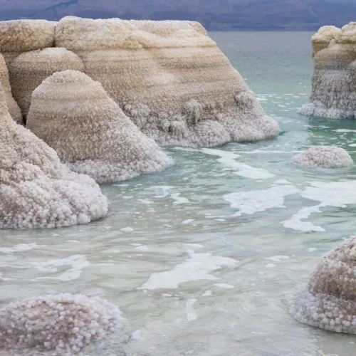 The Dead Sea