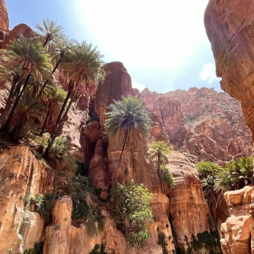Wadi Ghweir