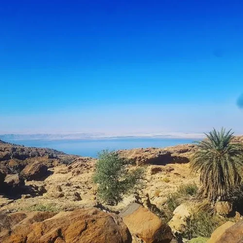 Wadi Manshala