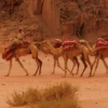 Wadi Rum