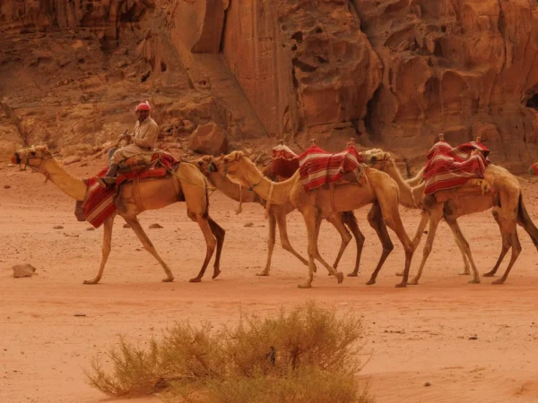 Wadi Rum