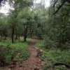 Zubia Trail