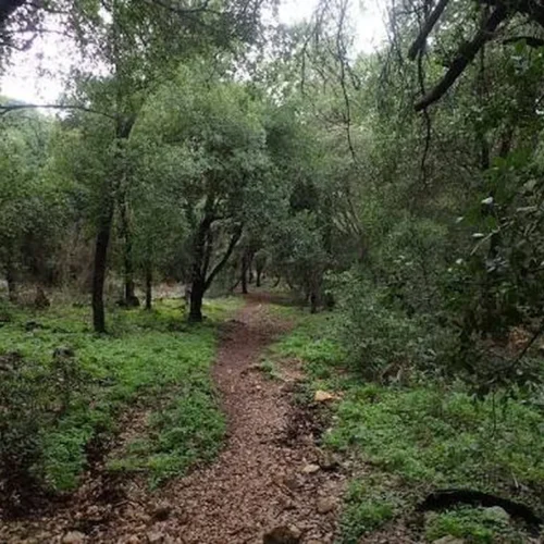 Zubia Trail
