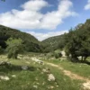 Zubia Trail