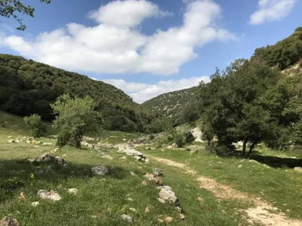 Zubia Trail