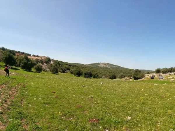 Zubia Trail